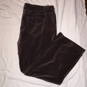 Brown Tommy Hilfiger pants
